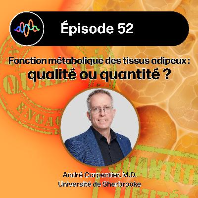 #52 - Fonction métabolique des tissus adipeux : qualité ou quantité ? #52 - Fonction métabolique des tissus adipeux : qualité ou quantité ?