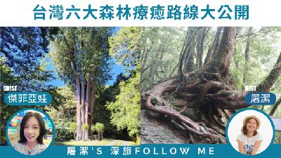 森林之旅｜一起逃進山裡涼一夏！台灣六大森林療癒路線大公開