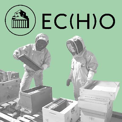 EC(H)O - Bijenkorf / Ruche