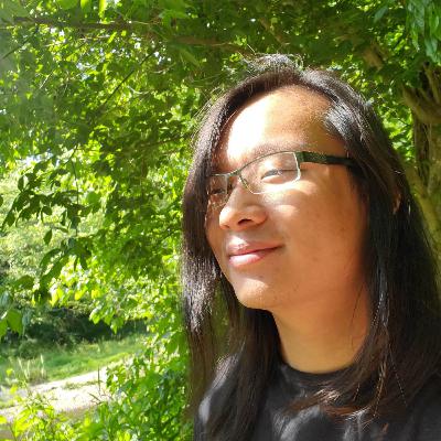 Moats in AI, Real and Regulatory with Brian Chau Moats in AI, Real and Regulatory with Brian Chau