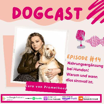 #14 Nahrungsergänzung bei Hunden! Warum und wann dies sinnvoll ist #14 Nahrungsergänzung bei Hunden! Warum und wann dies sinnvoll ist
