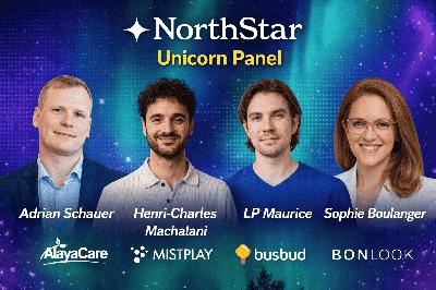 North Star |  Unicorn Panel