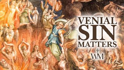 Does venial sin actually matter? Does venial sin actually matter?