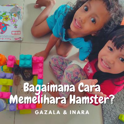 Episode #16 Bagaimana Cara Memelihara Hamster? Episode #16 Bagaimana Cara Memelihara Hamster?