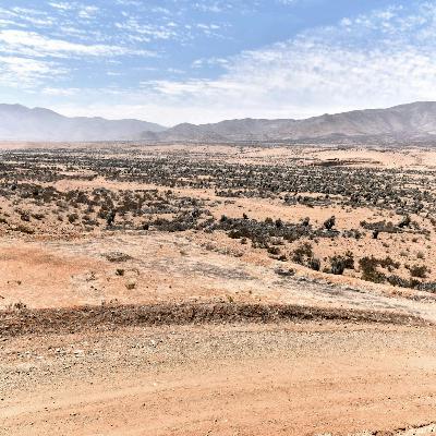 Fallo de la Corte de Apelaciones de Antofagasta por Dominga genera diversas interpretaciones en el Gobierno y la empresa titular Andes Iron