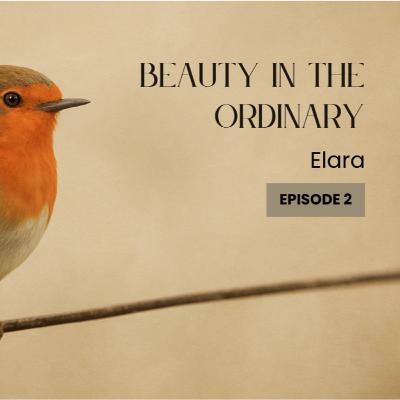 Beauty in the Ordinary Beauty in the Ordinary