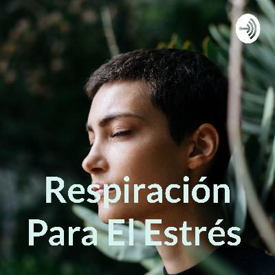 Sesiones de paz interior