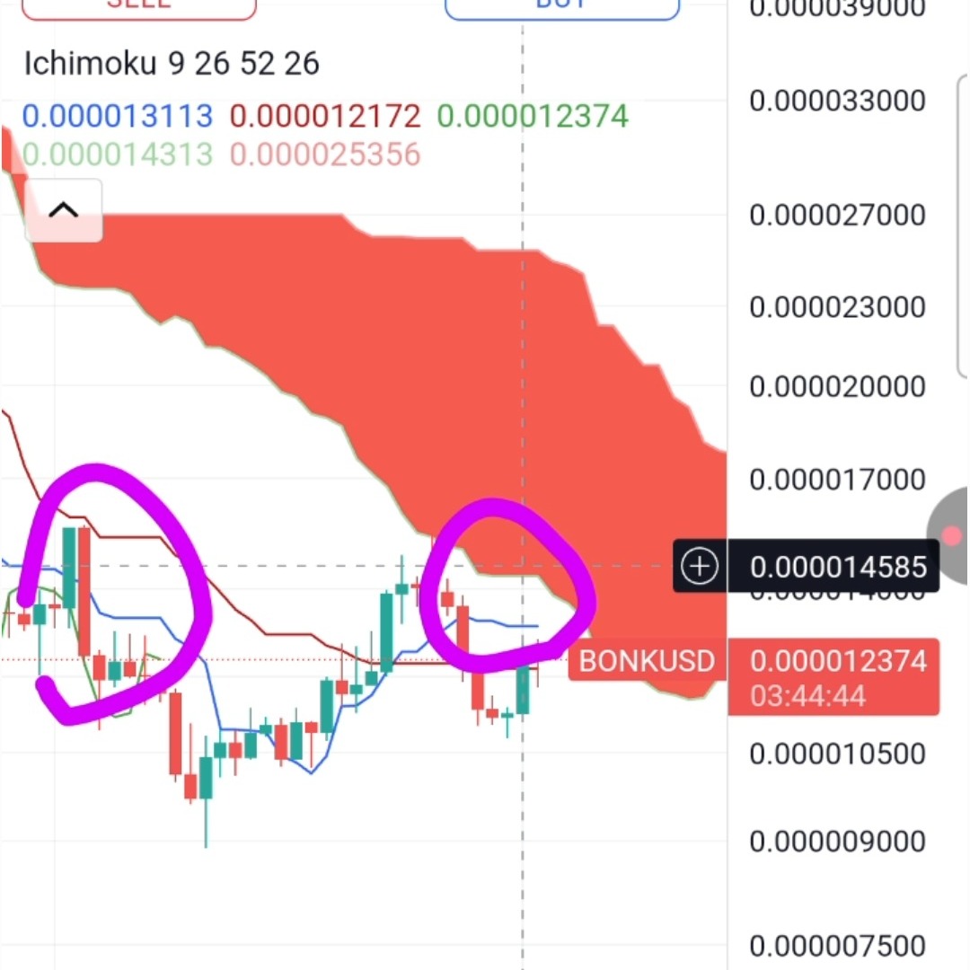 bonkusd_1