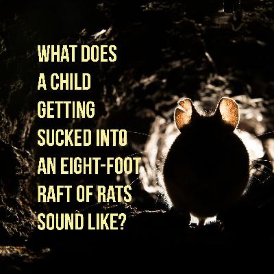 صبحِ هرروز - سه شنبه 25 آذر 1404