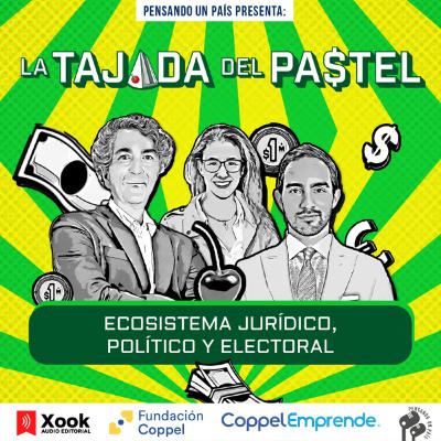 Ecosistema jurídico, político y electoral