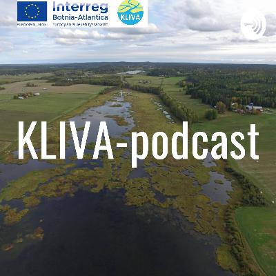7. Kaksitasouomat
