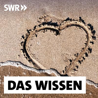 Wenn die Liebe schwindet – Wie sich Trennungen anbahnen Wenn die Liebe schwindet – Wie sich Trennungen anbahnen
