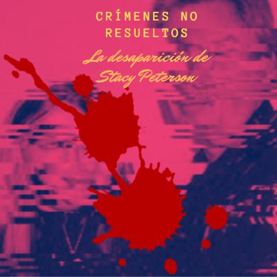 La desaparición de Stacy Peterson La desaparición de Stacy Peterson
