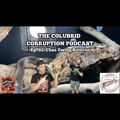 Breeding Jansenii, Bird Eaters, & More w/ Chas Ewing | The Colubrid Corruption Podcast | Ep. 92