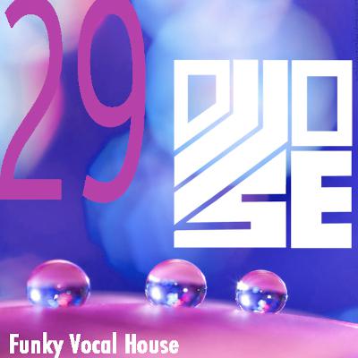 Funky Vocal House 29 [SoulFunked]