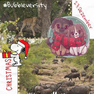 #12 Big five🐆🐃+Adventskalender🎄 #12 Big five🐆🐃+Adventskalender🎄