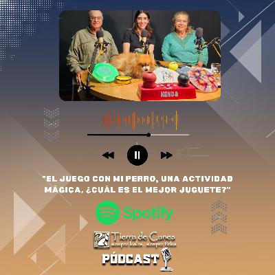 ”El juego con mi perro, una actividad mágica. ¿Cuál es el mejor juguete?”