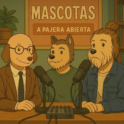 4x24 | Mascotas