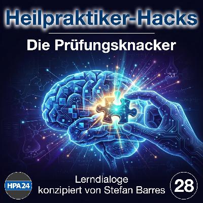 Die mündliche Heilpraktikerprüfung: Was wirklich passiert (Analyse von 50+ Prüfungsprotokollen)