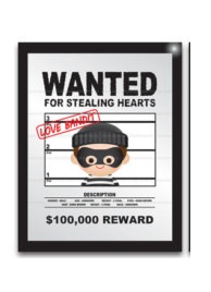 The Crime Lab chronicles