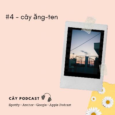 #4 - cây ăng-ten