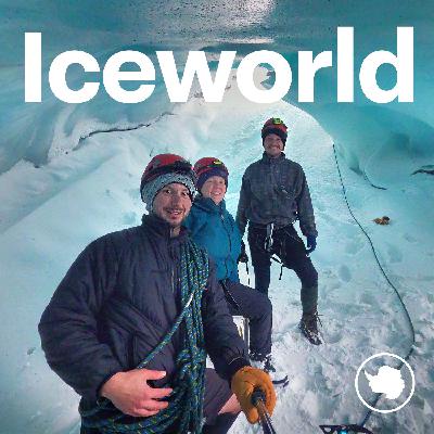 S4: Life after Antarctica: post-deployment with Dr Bav Sasi, Jerry Gillham and Kirsten Shaw