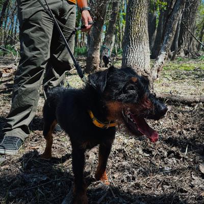 Episode 22: Bonus Episode