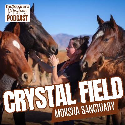 Giving Freedom Back to Wild Horses with Moksha Sanctuary | Episode 34