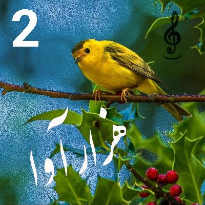 هزارآوا- ادامه مقدمه و بخش نخست هزارآوا- ادامه مقدمه و بخش نخست