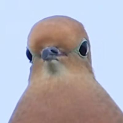 Traversing the Devil's Butthole