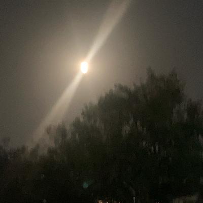 ABCD of the New School Year ABCD of the New School Year