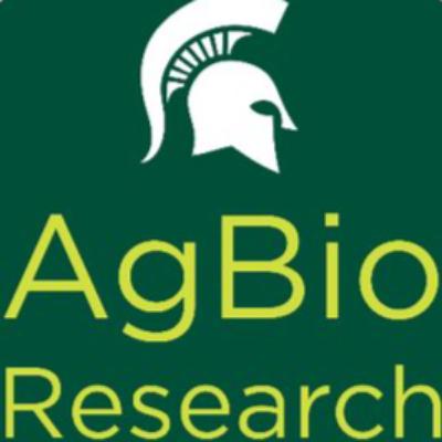 Moving Mass Timber Forward: MSU AgBioResearch and MassTimber@MSU Moving Mass Timber Forward: MSU AgBioResearch and MassTimber@MSU