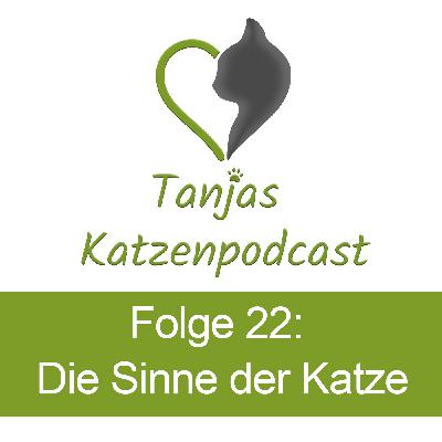 Die Sinne der Katzen