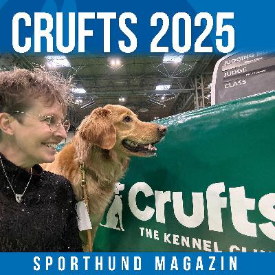 #29 Abenteuer Crufts 2025