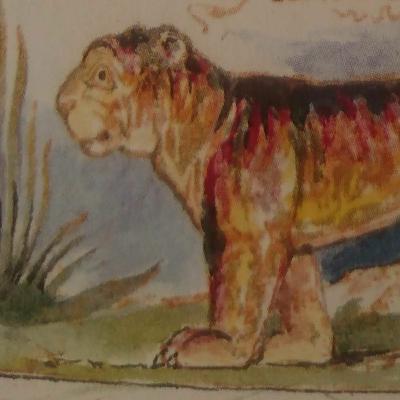 Episode 7 - Shakespeare's Junk Episode 7 - Shakespeare's Junk