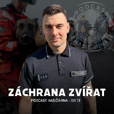 Od koček až po koně, aneb postupy při záchraně zvířat 🐈