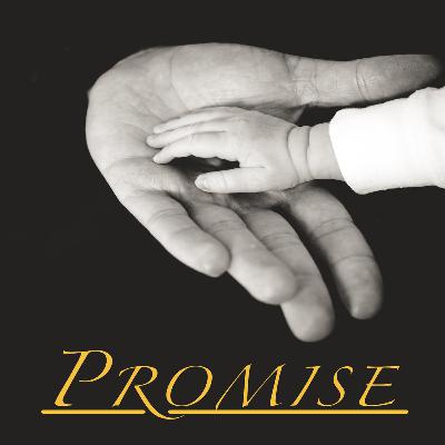 Promise