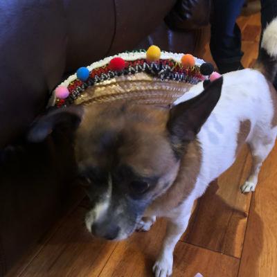 Ep 9: la guelaguetza ft Nancy