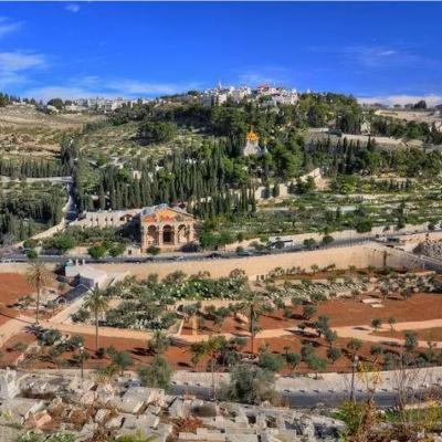 TGIY Ep. 14 - The Mount of Olives