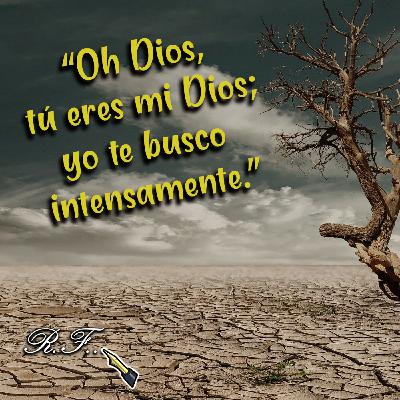 Fuerzas para Continuar