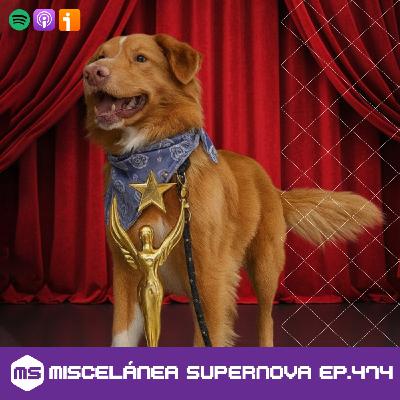 474 - Sweet Liberty, my leg! 474 - Sweet Liberty, my leg!