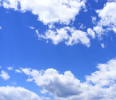 איך נראה ניהול בגוגל