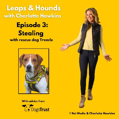 Episode 3: Stealing Episode 3: Stealing