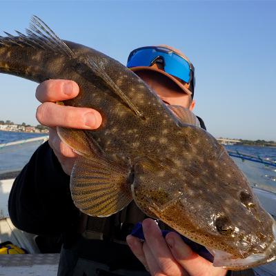 Flathead, Kingfish and Bass Secret Spots