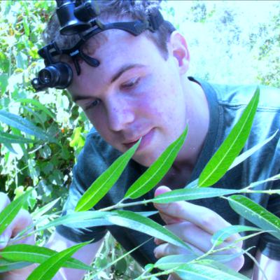 Episode 113 ft Matthew Gates / Zenthanol / Synchangel Episode 113 ft Matthew Gates / Zenthanol / Synchangel
