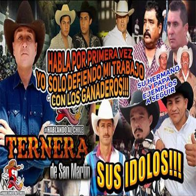 La Ternera Solo Defiendo Mi Trabajo Con Los Ganaderos No Me Dejaban Montar Hablando Al Chile #10