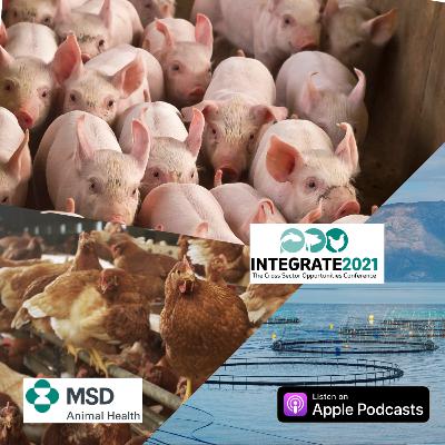 Integrate 2021 - a special edition episode
