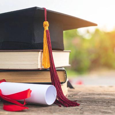 Hors-Série : Stage de master en psychologie à Montréal – Témoignages et conseils