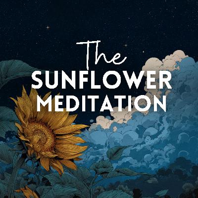 The Sunflower Meditation (Premium)