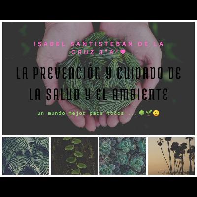 La prevención y cuidado integral de la salud y el ambiente